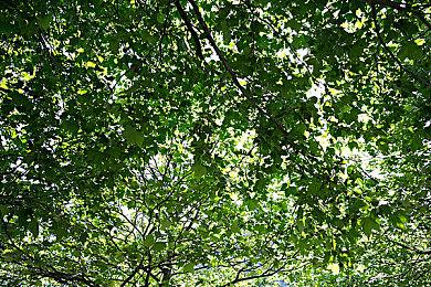 《忍者神龟：破碎命运》DLC“凯西琼斯与垃圾场困局”现已推出获好评